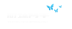 游蝶网单