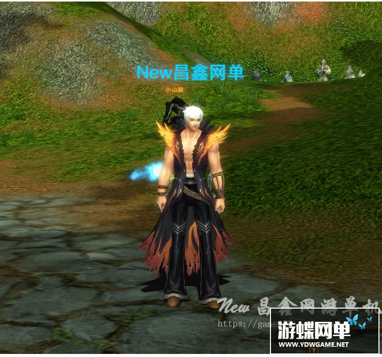 图片[2]-网游九界单机版简单一键端任务完善单人全副本全地图GM刷物品装备-游蝶资源网丨网游单机版丨网单一键端丨手游服务端丨GM包站